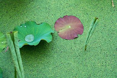 一艘属于自己的巨型星舰！ 《无人深空》史上最大更新上线