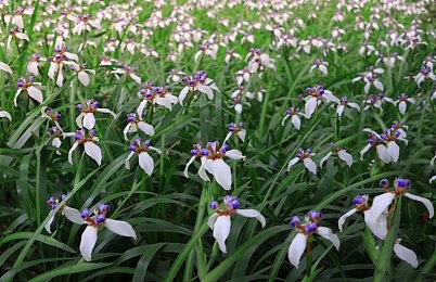 Game Pass的锅？微软又又又要对Xbox进行大裁员了